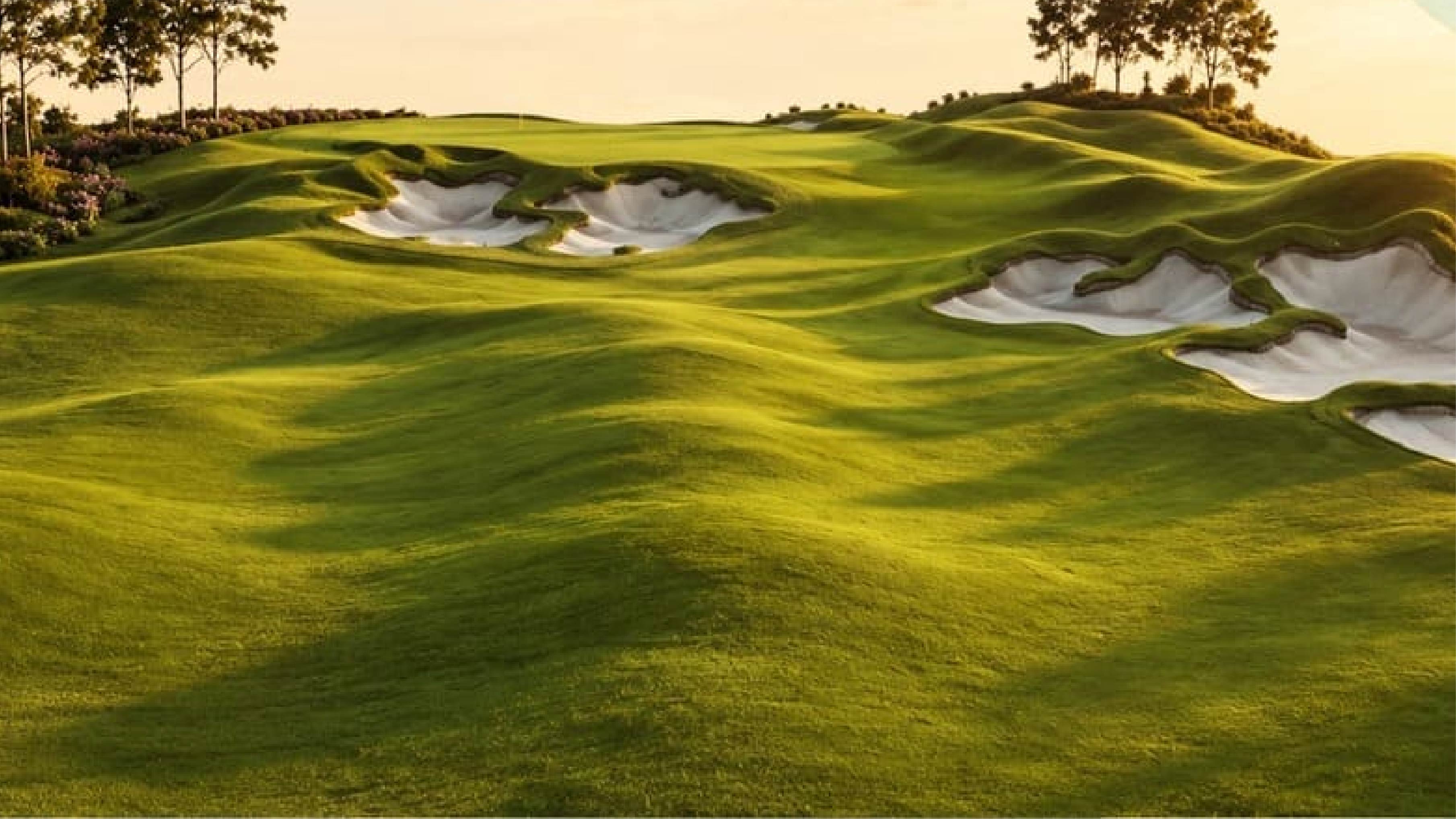 SÂN GOLF 18 HỐ - ảnh 2